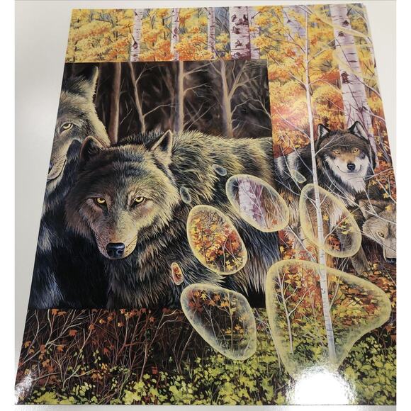 1996 Wild Animals Folder And 6 Posters USA Fox Owl Wolves Windows To The Wild - Picture 5 of 9